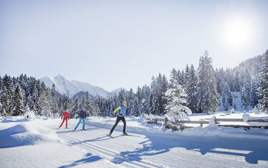 Cross-country 
Skiing